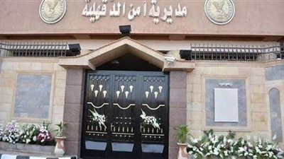 مشاجرة بين تجار أدوية واتهامات بالنصب في 23 مليون جنيه بالدقهلية