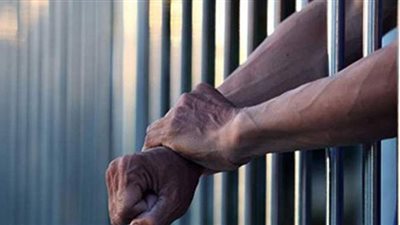 تجديد حبس المتهمين بزرع 29 شجرة بانجو في مدرسة بالمنصورة