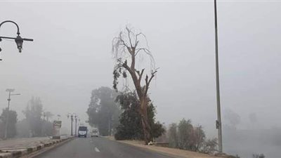 إعادة فتح طريقي 30 يونيو والسويس عقب اختفاء الشبورة المائية