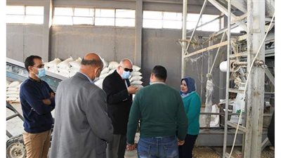 محافظ قنا يتفقد عددا من مشروعات الأمن الغذائي | صور