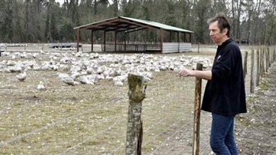 بعد تحور كورونا.. فرنسا ترصد 61 بؤرة من إنفلونزا الطيور