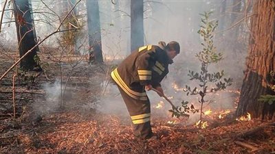 اندلاع 6 حرائق ضخمة في سوتشي جراء احتفالات رأس السنة | فيديو