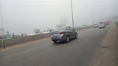 الشبورة المائية تغطي طرق القليوبية | صور