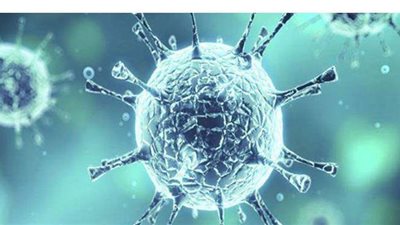 كيف يؤثر الطقس على انتشار 