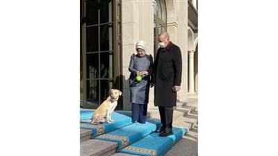 خوفاً من كشف ثمنه الباهظ.. زوجة أردوغان تخفي حذاءها بالفوتوشوب