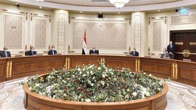 السيسي: مبادرة تحويل السيارات للغاز تمت بعد دراسات عميقة وتوفر كل عناصر النجاح