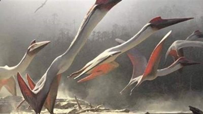 أسرار جديدة عن التيروصورات الطائرة