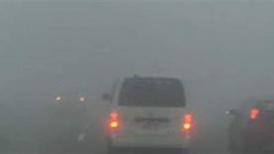 الشبورة تغطي طريق الإسماعيلية الزقازيق الزراعي  | صور