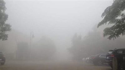 إغلاق محور 30 يونيو بسبب الشبورة الكثيفة