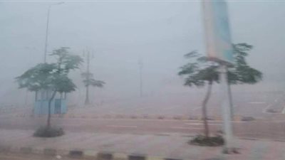 تسببت في شلل مروري.. شبورة كثيفة تغطى شوارع وميادين الإسكندرية | صور