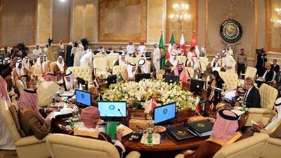 عكاشة: مصر ستحقق مكاسب جيدة نتيجة جهودها لتوحيد الصف العربي | فيديو