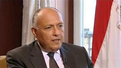 وزير الخارجية يجري اتصالا مع نظيره الإسرائيلي.. اعرف التفاصيل