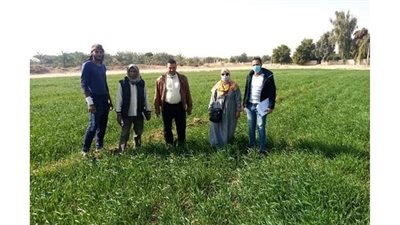 الزراعة تكثف المرور الدوري على الحقول الإرشادية في الوادى الجديد