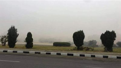 المحافظة تحذر.. شبورة مائية على الطرق السريعة بالجيزة غدا