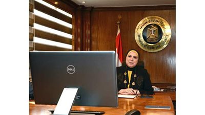 وزيرة التجارة تصدر قرارا باستمرار وقف تصدير الفول بكافة أنواعه لمدة ٣ أشهر