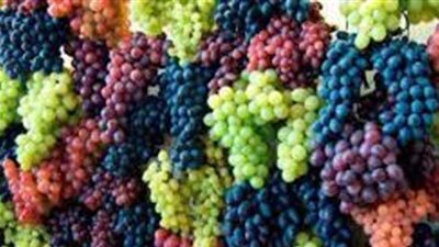 تفسير حلم العنب في المنام وعلاقته بالوفرة في الخير