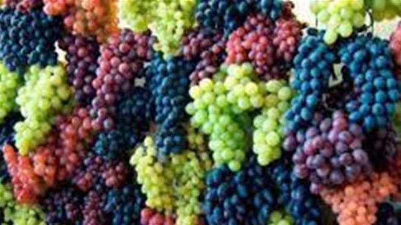 تفسير حلم العنب في