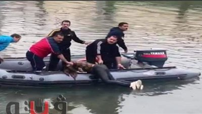 لحظة العثورعلى جثة مجهولة لشخص بمياه 