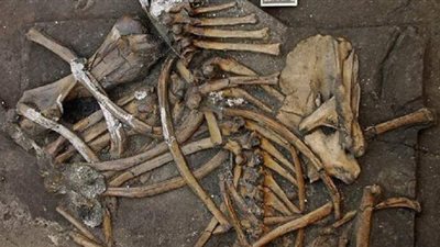 تفاصيل العثور على هيكل عظمي فى صندوق قمامة ببولاق الدكرور