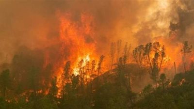 بخسائر تجاوزت 2 مليون جنيه.. النيابة: حريق سوق مدينة نصر استمر نصف ساعة