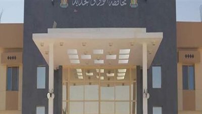 حملات مكثفة على الصيدليات في الوادي الجديد