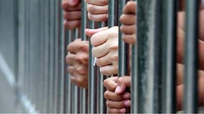 حبس ٣ متهمين بقتل تاجر وزوجته لسرقة ذهب بالواحات البحرية