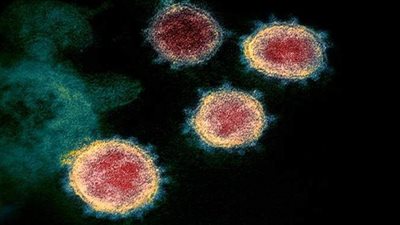 أعراض كورونا يوما بيوم منذ الإصابة بالفيروس