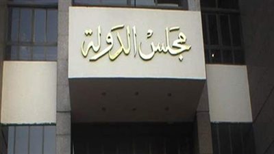 غداً.. نظر طعن الحكومة على حكم تنظيم مدة رؤية الطفل