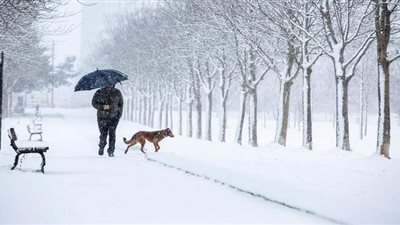 العاصمة الإسبانية مدريد تواجه أعنف تساقط ثلجي منذ عقود | صور