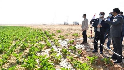 السيسي يتفقد مشروع مستقبل مصر للإنتاج الزراعي.. فيديو