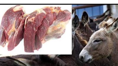 ما حكم أكل المسلم للحوم الحمير؟