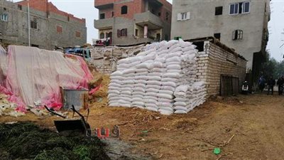 غلق مصنع والتحفظ على 8 أطنان ملح وزيت مجهول المصدر في الدقهلية