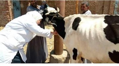 483 قافلة بيطرية مجانية أطلقتها الزراعة خلال عام