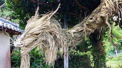 تنين عملاق من الخشب وأغصان النخيل في اليابان | صور