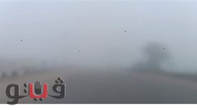 شبورة مائية تصل إلى حد الضباب على طرق الدقهلية | فيديو وصور