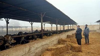 استكمال خطة تطوير مزارع الثروة الحيوانية بأسيوط