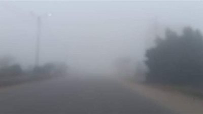 شبورة كثيفة تغطي سماء الدقهلية وشلل مروري بالشوارع | فيديو وصور