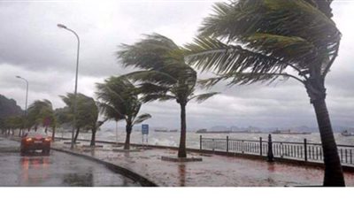 دافئ ثم ممطر فبرد قارص.. بداية متقلبة للطقس في 