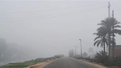 الشبورة تغطي طرق الإسماعيلية | صور