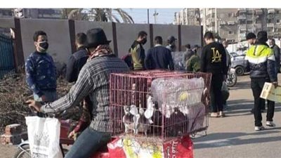 فض سوق الجمعة للحمام والسيارات المستعملة ببورسعيد | صور