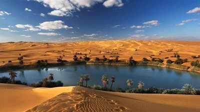 لأول مرة منذ 20 عامًا.. 