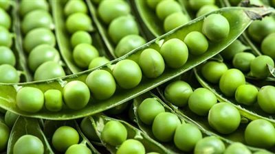 طريقة تخزين البسلة والفاصوليا والقلقاس عاما كاملا على طريقة الشيف ريمو