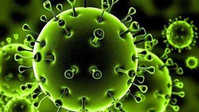 العليا للفيروسات تكشف حقيقة تحور كورونا في مصر
