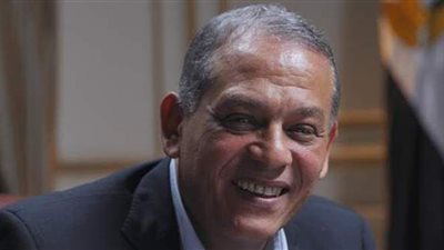 السادات: أؤيد فكرة دمج الأحزاب السياسية ولا بد من تعديل تشريعي يسمح بذلك