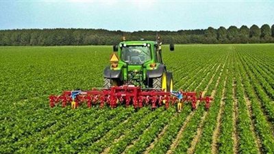 شعبة الخضراوات: مشروع 