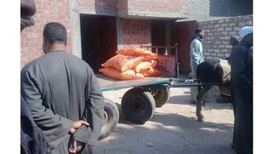 نقص الأسمدة يهدد أراضي سوهاج بالبوار.. الفلاحون: مخازن الجمعية الزراعية خاوية على عروشها.. والسدة الشتوية تهدد بتلف المحاصيل