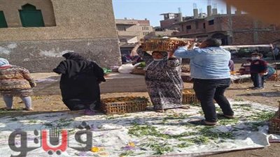 فض وتطهير 3 أسواق بالمحلة وطنطا للحد من انتشار كورونا | صور