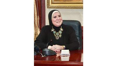 وزيرة الصناعة: تيسيرات ضريبية للمشروعات الصغيرة بعد صدور لائحة القانون