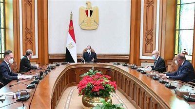 وزراء خارجية الرباعية الدولية: نقدر دور جهود مصر ومساعيها في دعم القضية الفلسطينية