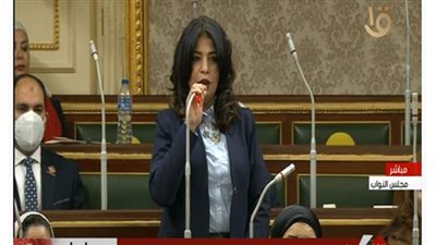 ضحى عاصي تؤدي اليمين الدستورية نائبة في البرلمان | فيديو